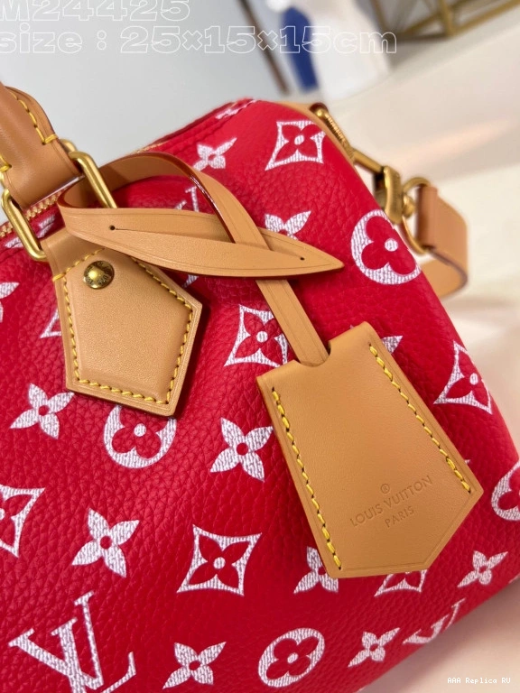 Aaa replica bags SPEEDY Vuitton Louis 25 0729